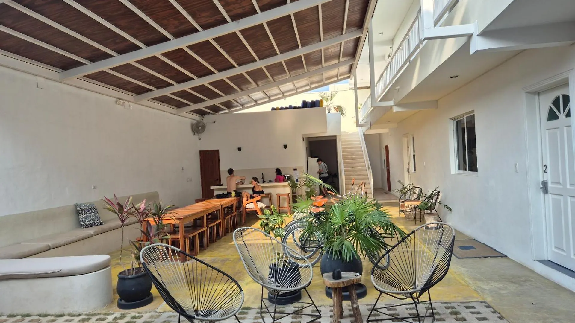 Freelance Hostel Tulum Mexico