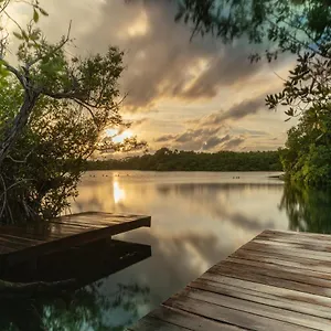https://yaxchen-tulum-eco-lodge-cenote.quintano-roohotels.com