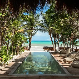 5* Hotel Xela - Member Of Design