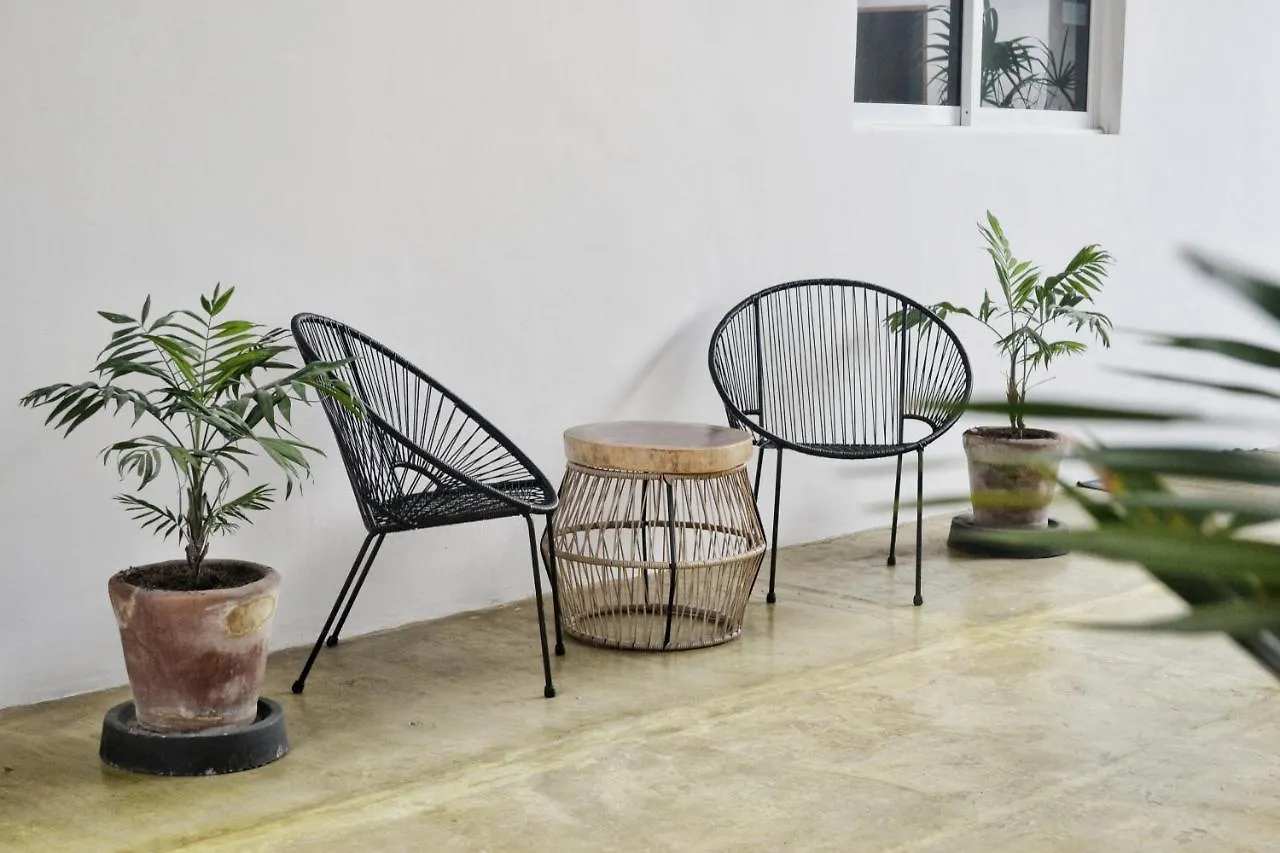 Affittacamere Freelance Hostel Tulum