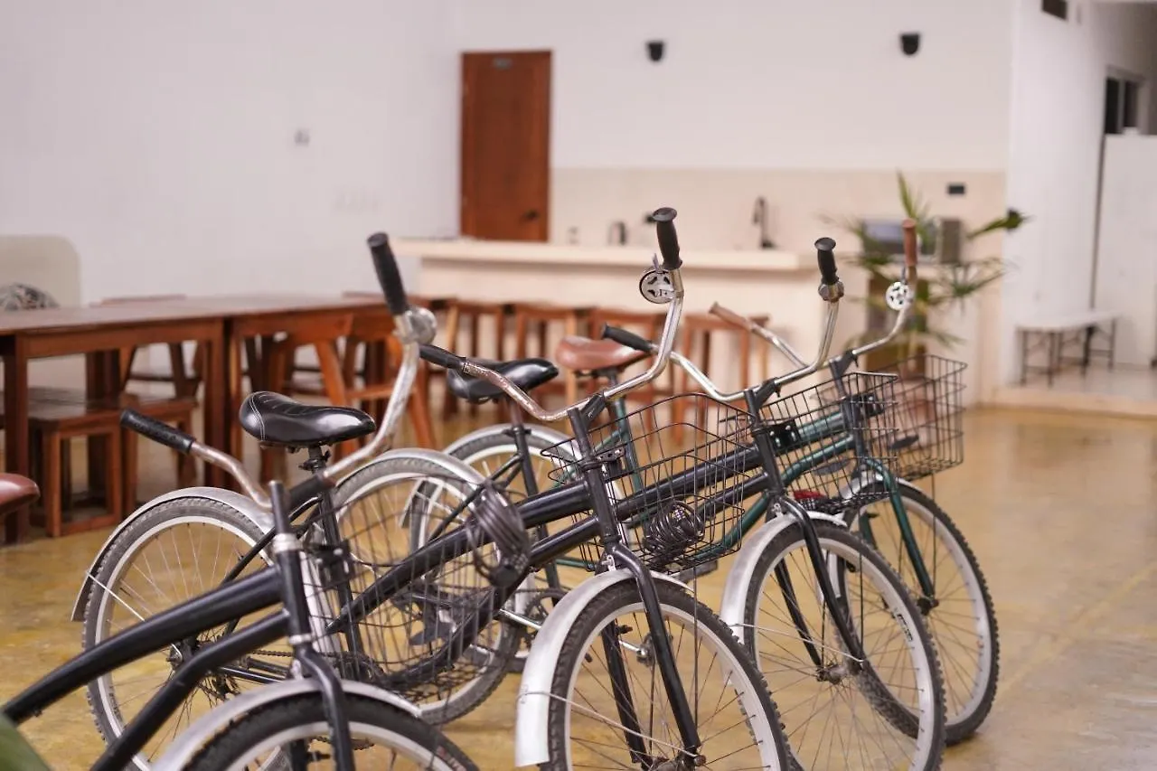 Affittacamere Freelance Hostel Tulum
